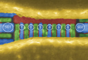 QuTech演示完全控制的6量子比特硅基自旋量子处理器