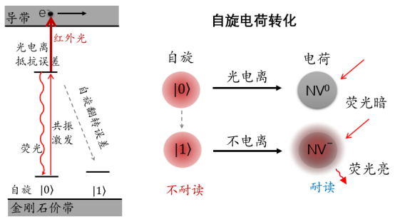 中国科大研发新型量子比特读出方法