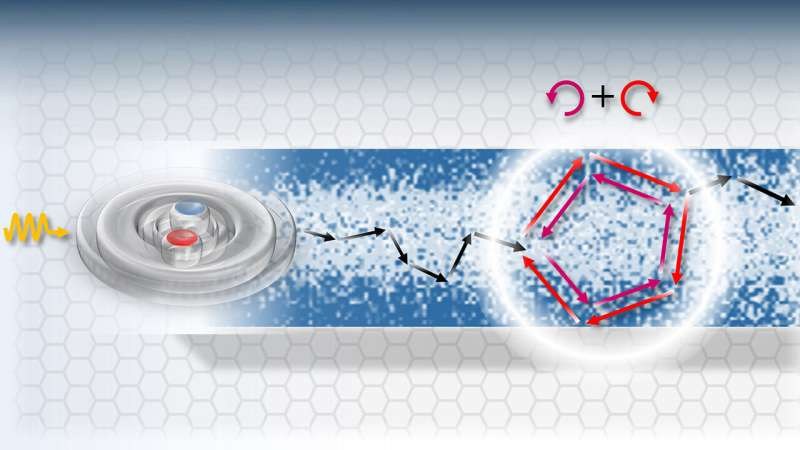 科学家发现原子级薄的半导体材料中激子有奇特的量子行为