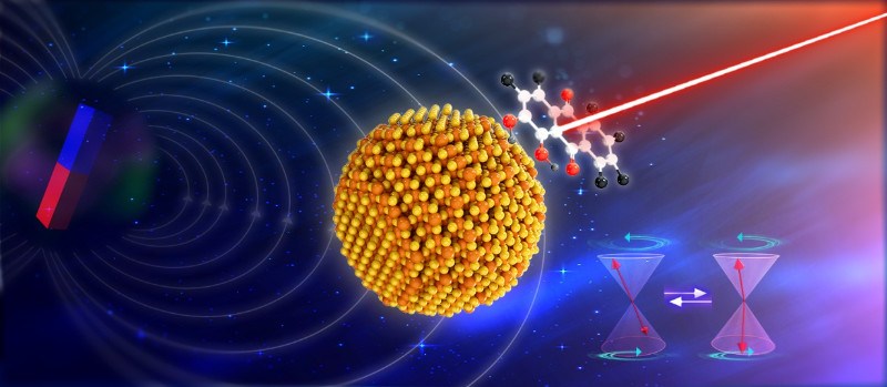 中科院大连化学物理研究所实现三线态光化学过程的量子相干调控