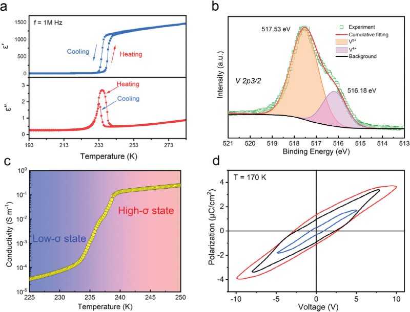 中国人民大学物理学院及合作团队在分子铁电莫特绝缘体研究取得重要进展