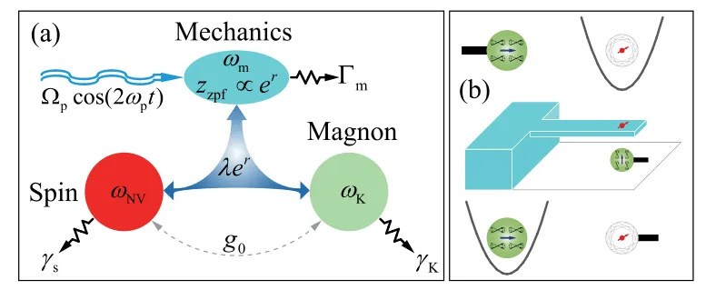 西安交大科研人员在量子三体相互作用研究方面取得重要突破