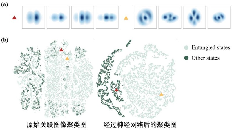 北京大学何琼毅课题组与合作者在基于神经网络的量子纠缠检测方面取得重要进展