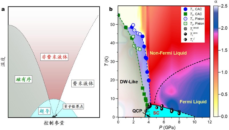 浙江大学与国内合作者在笼目晶格材料研究中取得重要进展