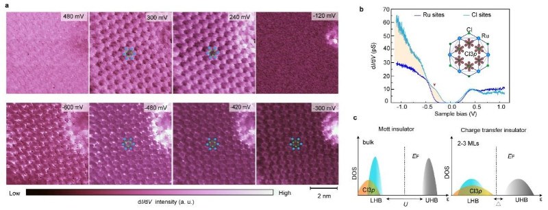 北京量子院与合作者在Kitaev自旋液体材料α-RuCl3的电子态研究中取得新进展