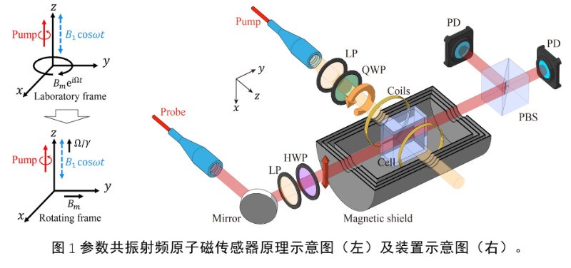 北京大学电子学院郭弘课题组在量子磁传感领域取得重要进展