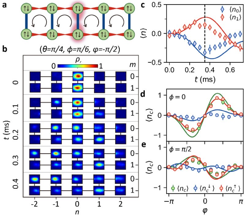 浙江大学科研团队在冷原子动量晶格中实现非阿贝尔规范场