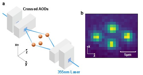 清华大学段路明研究组首次在二维离子阵列上实现全连通的量子纠缠逻辑门