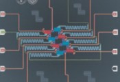 深圳量子研究院实现集成量子芯片中抗关联噪声的量子门