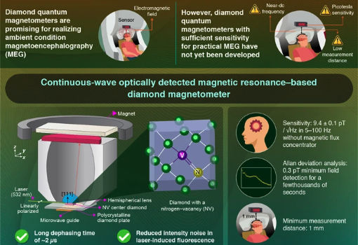 科学家研发出能在现实环境条件进行脑磁图成像的新型金刚石量子磁力计