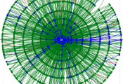 深圳量子科学与工程研究院团队在高能物理的量子启发式算法应用方面取得重要研究进展