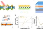 北京大学刘开辉课题组构建超薄二维极性材料自发光伏器件