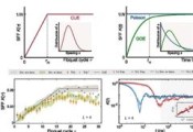 浙江大学超导量子处理器实现多体混沌和局域相的谱形因子测量