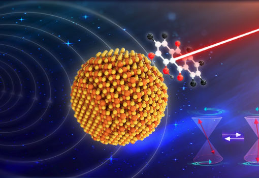 中科院大连化学物理研究所实现三线态光化学过程的量子相干调控