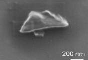 日本科学家开发出可用于生物成像领域的量子级纳米金刚石